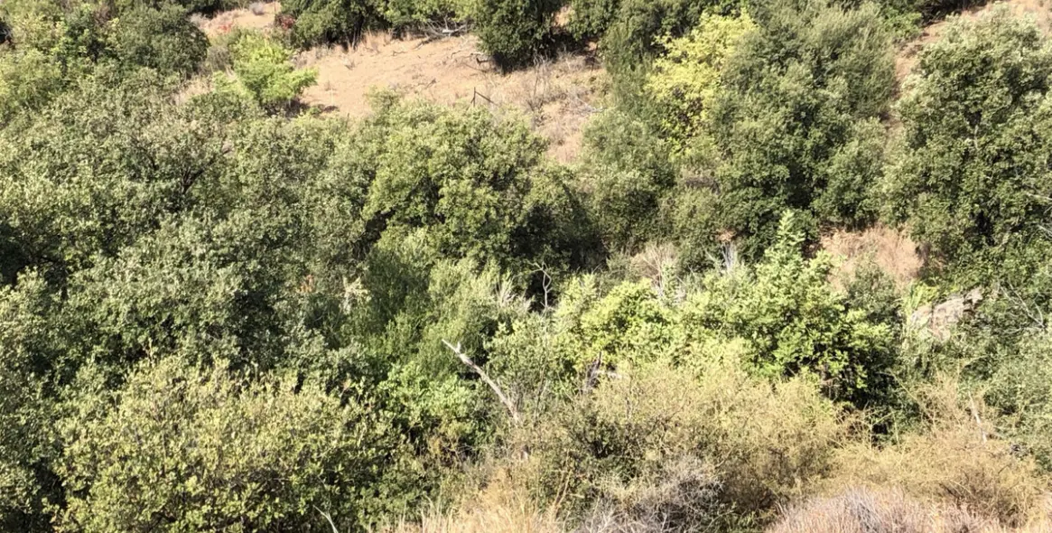 Venta de parcela residencial en 2º Línea de Playa 14