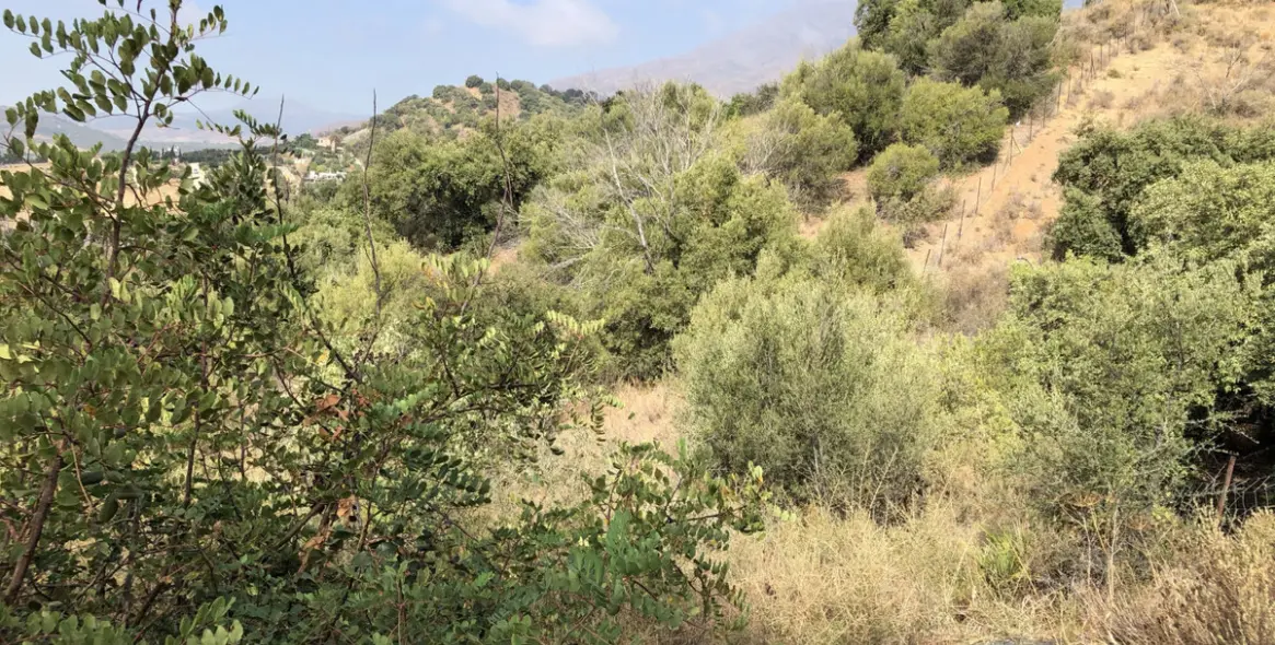 Venta de parcela residencial en 2º Línea de Playa 16