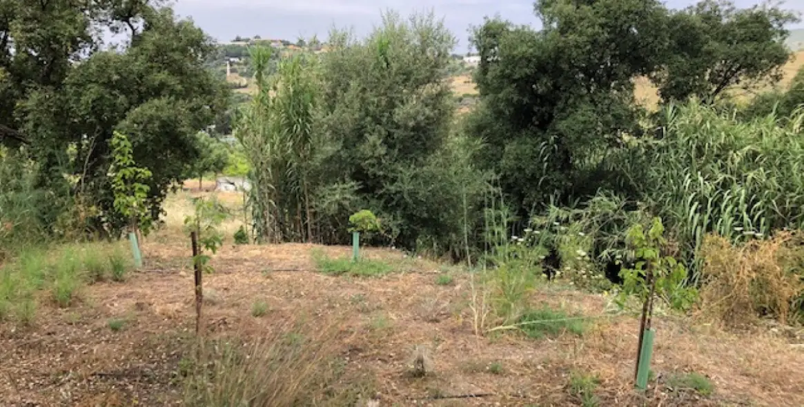 Venta de parcela residencial en 2º Línea de Playa 19