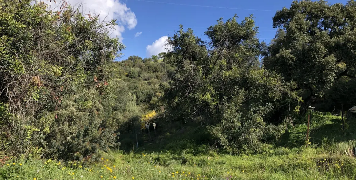 Продажа  жилого участка в 2º Línea de Playa 17