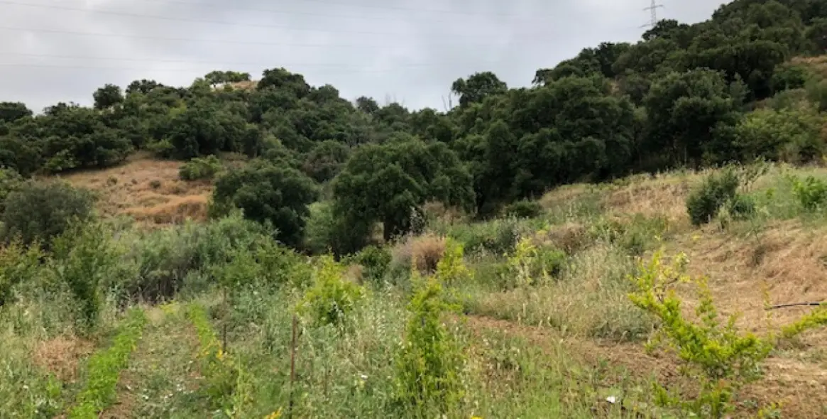 Продажа  жилого участка в 2º Línea de Playa 20