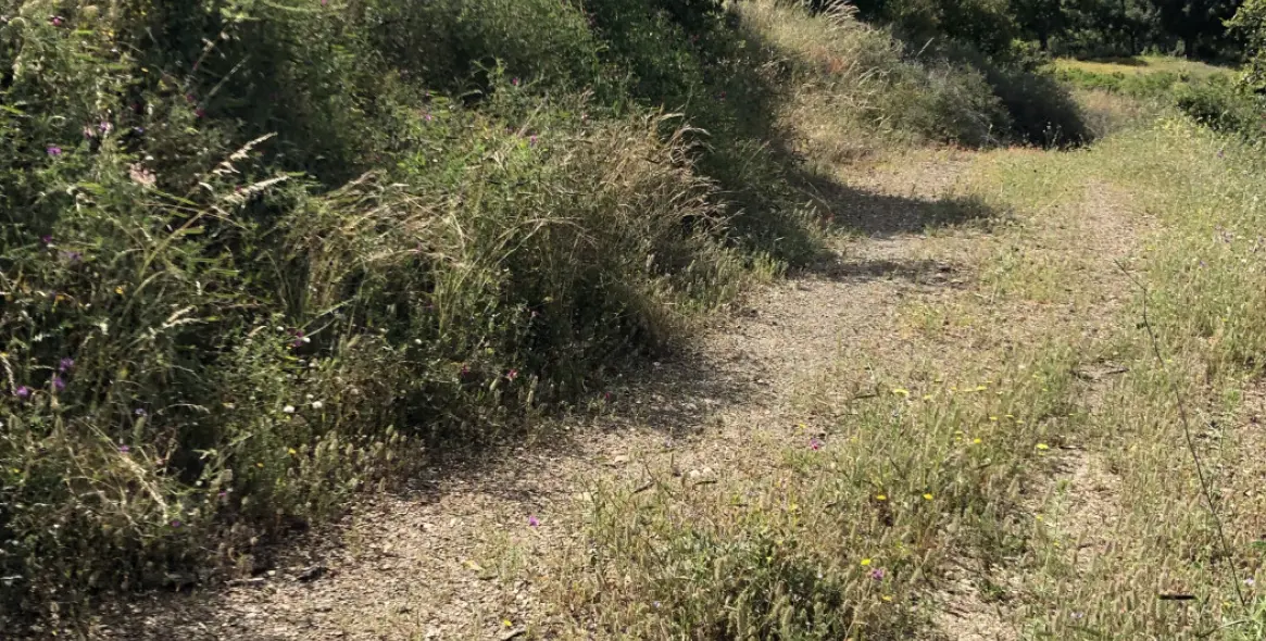 Продажа  жилого участка в 2º Línea de Playa 21