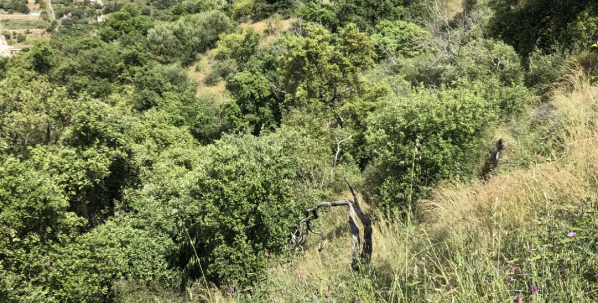 Продажа  жилого участка в 2º Línea de Playa 23