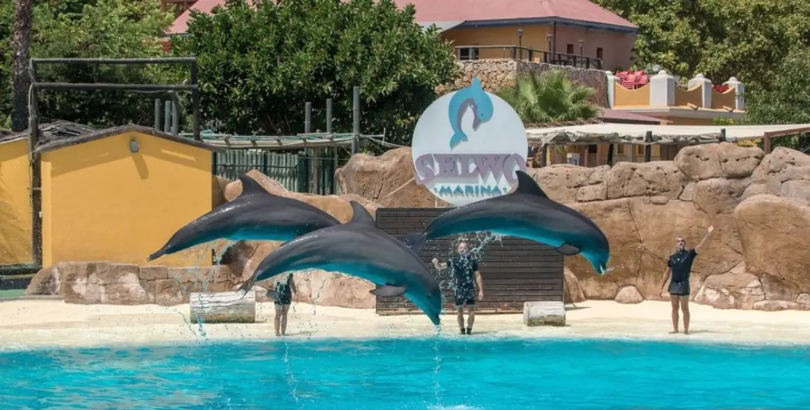 Venta de ático en Benalmadena 28