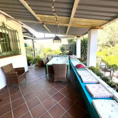 Sale of finca - cortijo in Coín