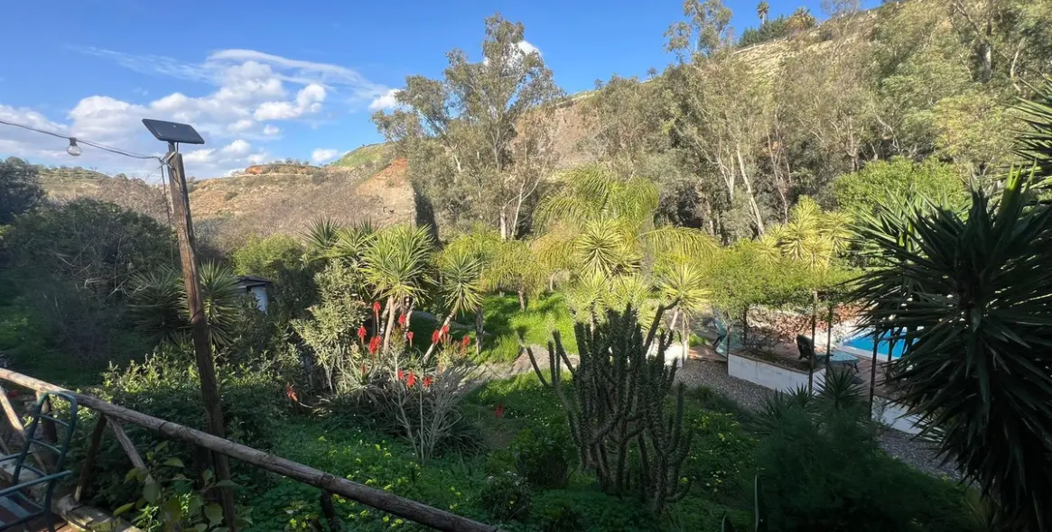 Sale of finca - cortijo in Coín 19