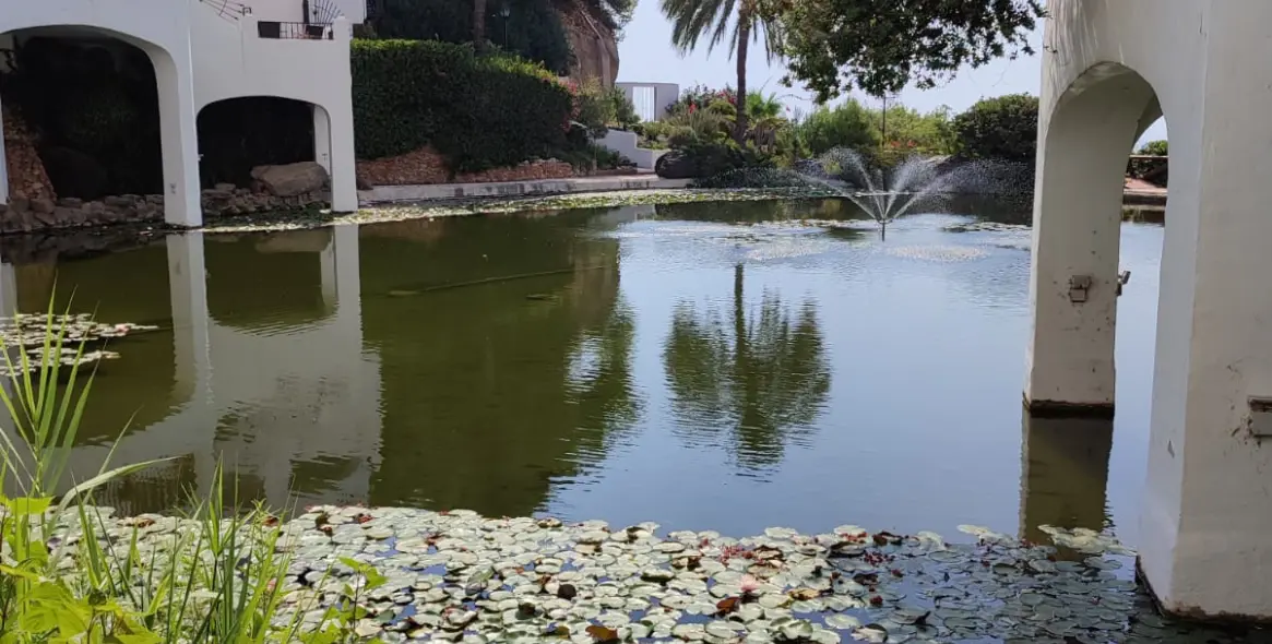 Продажа коммерческого помещения в Burriana 1