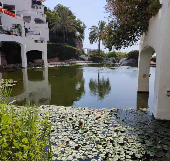 Продажа коммерческого помещения в Burriana