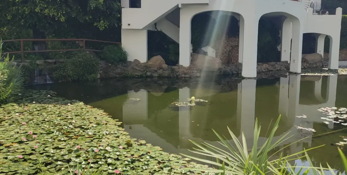 Продажа коммерческого помещения в Burriana 6