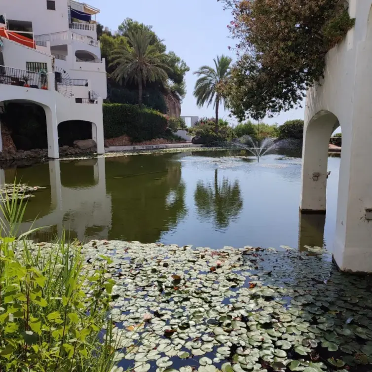 Venta de local comercial en Burriana