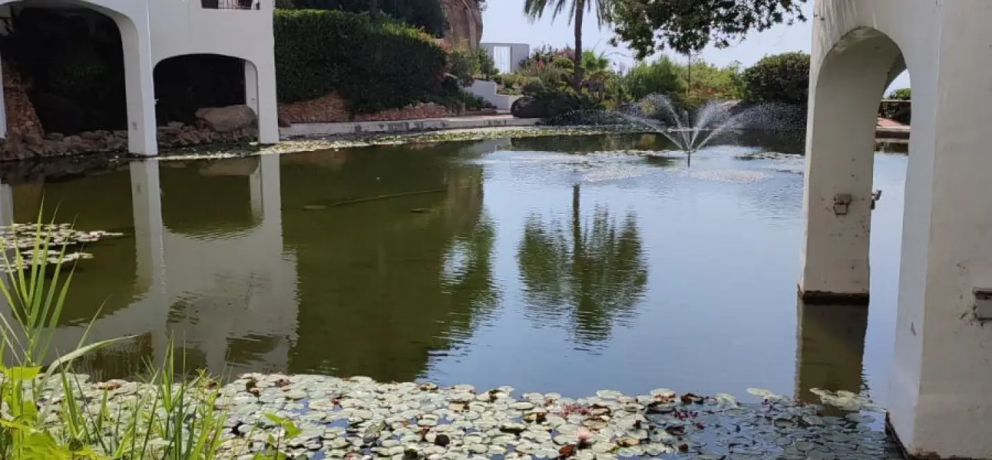 Venta de local comercial en Burriana 0