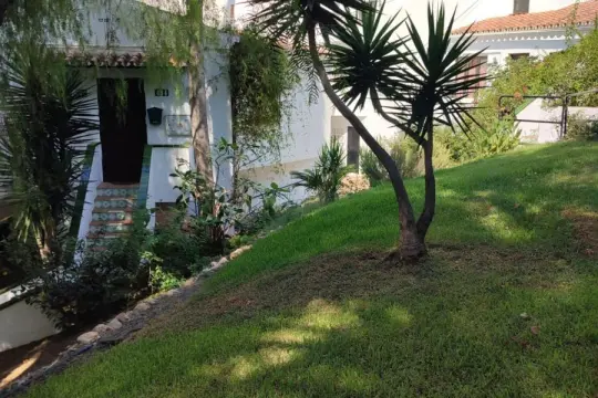 Image 7 thumb