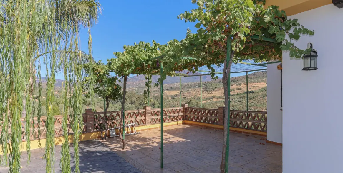 Sale of detached villa in Guaro 36