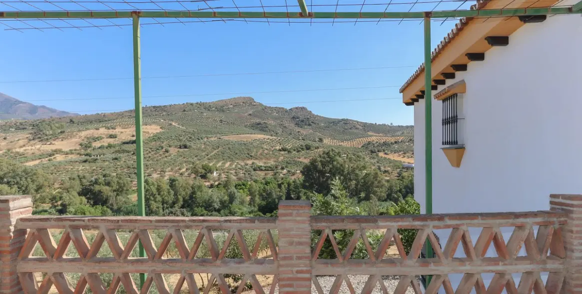 Sale of detached villa in Guaro 38