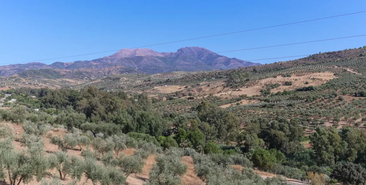 Sale of detached villa in Guaro 43