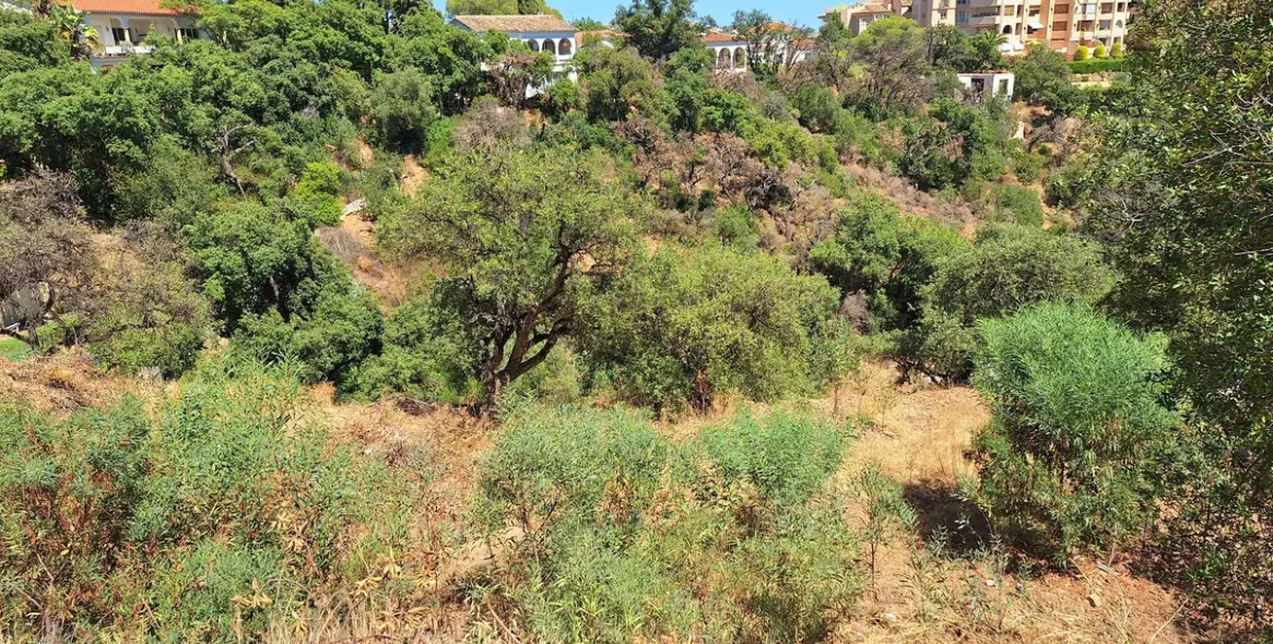 Продажа  жилого участка в Elviria 4