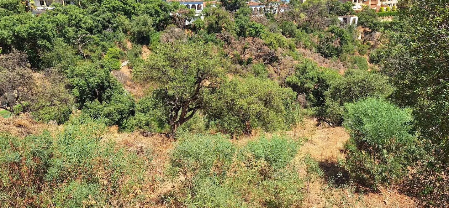 Venta de parcela residencial en Elviria 3