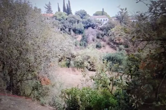 Image 7 thumb