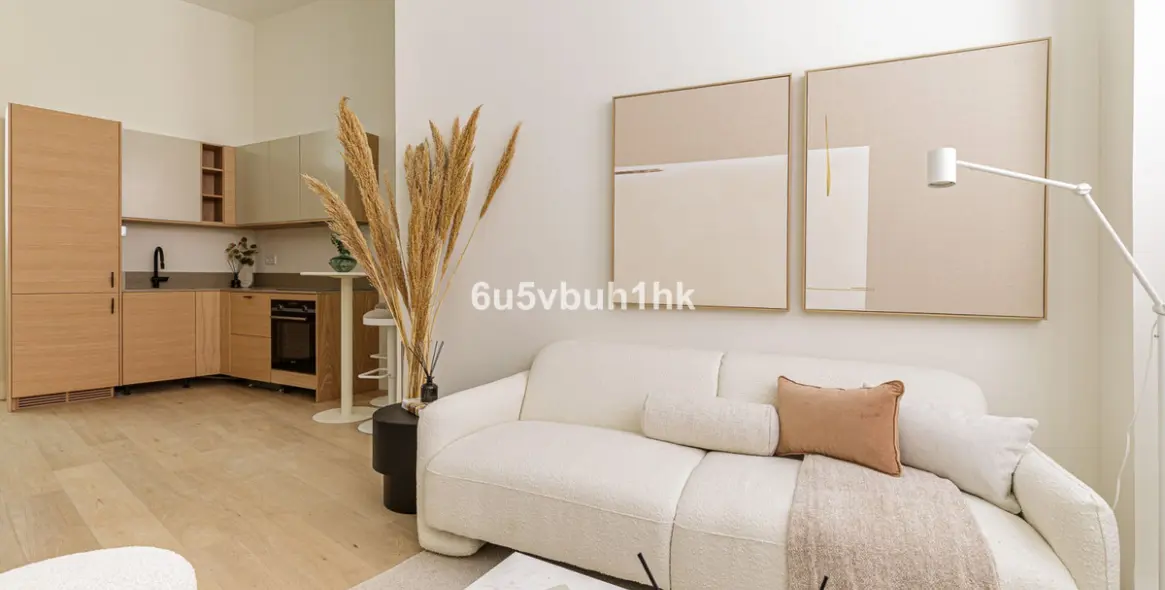 Sale of duplex in Málaga Centro 6