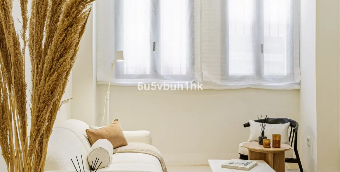 Sale of duplex in Málaga Centro 8