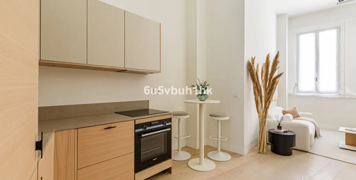 Sale of duplex in Málaga Centro 13