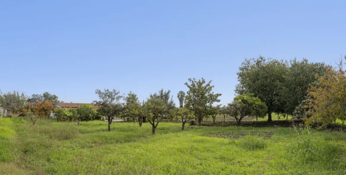 Продажа  жилого участка в San Pedro de Alcántara 8