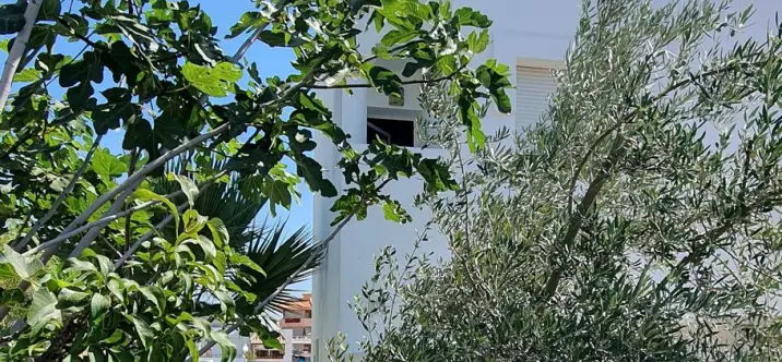 Sale of townhouse in Fuengirola 3