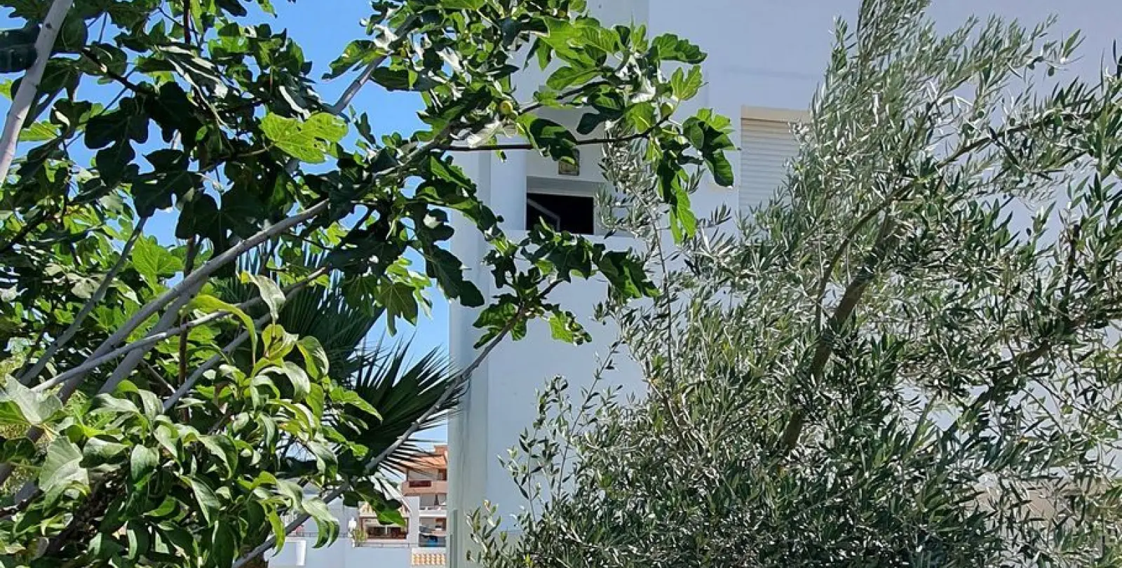 Sale of townhouse in Fuengirola 4