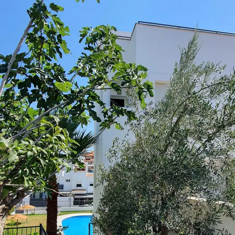 Sale of townhouse in Fuengirola