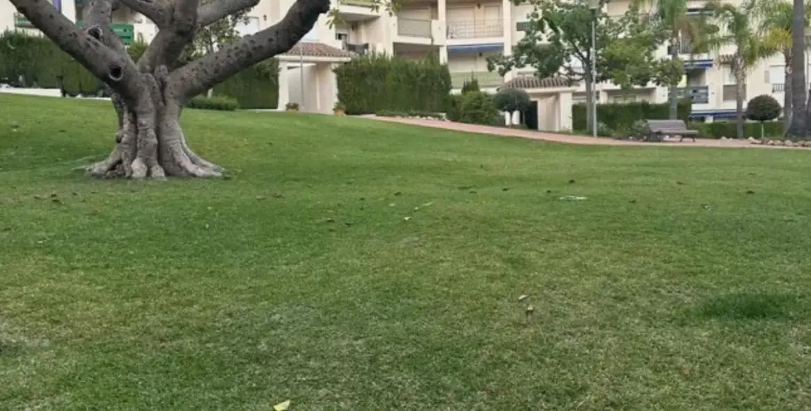 Sale of ground floor apartment in Nueva Andalucía 13