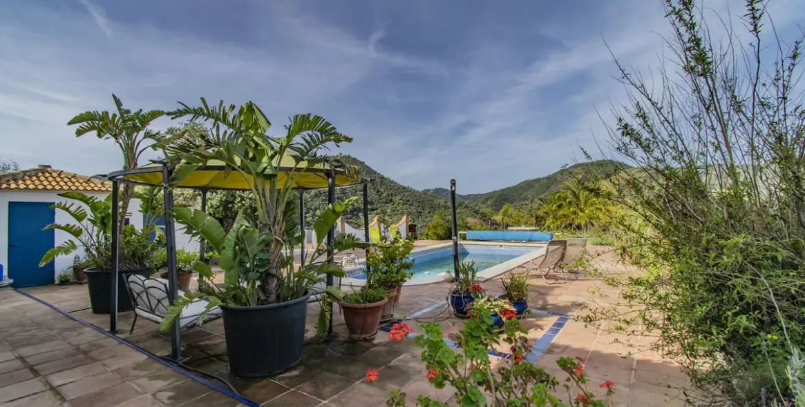 Sale of detached villa in Monda 12