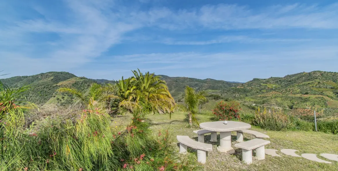 Sale of detached villa in Monda 15