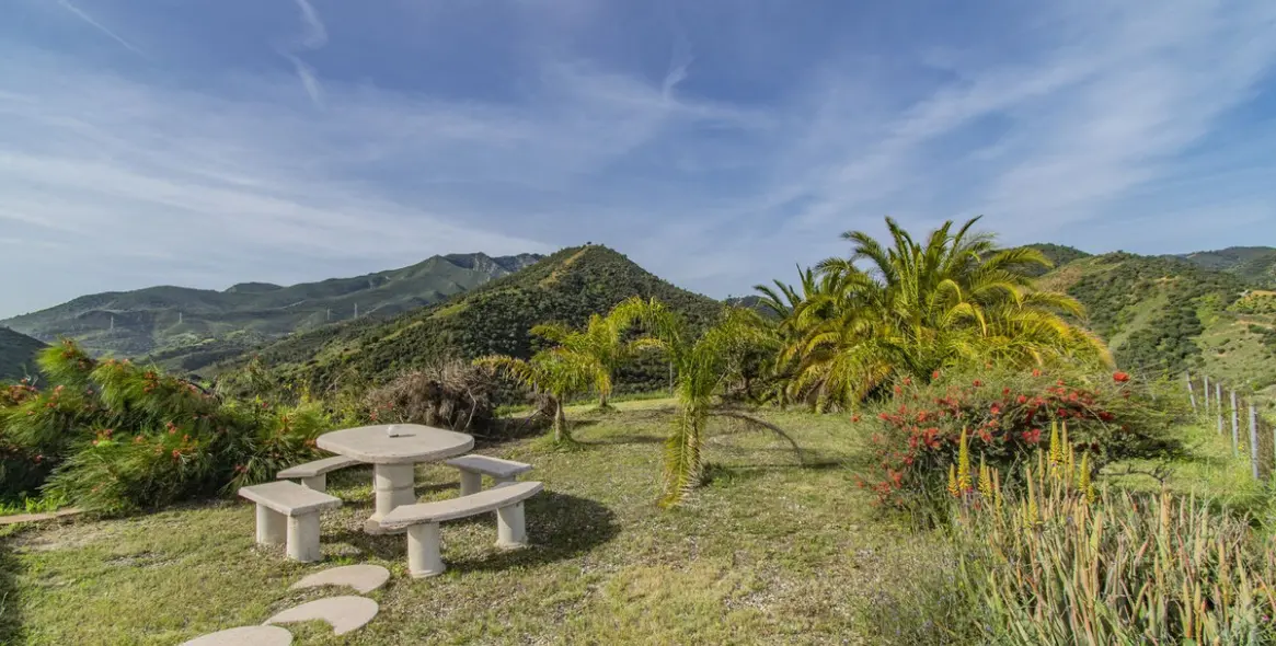 Продажа  отдельно стоящей виллы в Monda 21