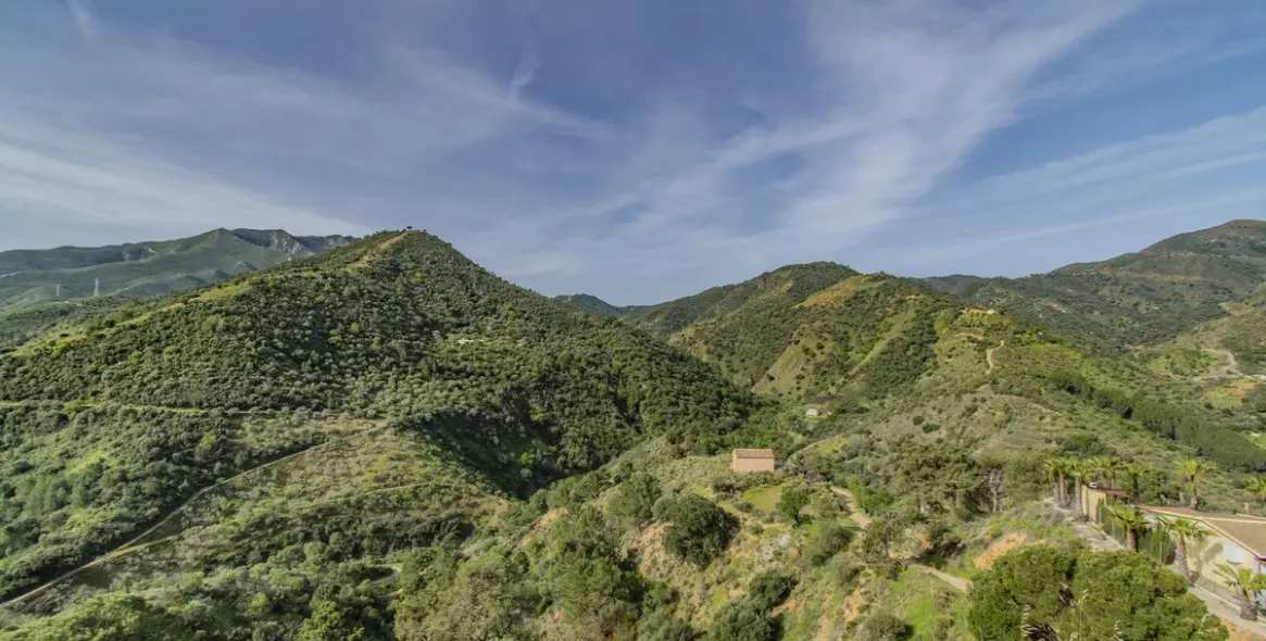 Продажа  отдельно стоящей виллы в Monda 24