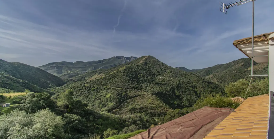 Продажа  отдельно стоящей виллы в Monda 31