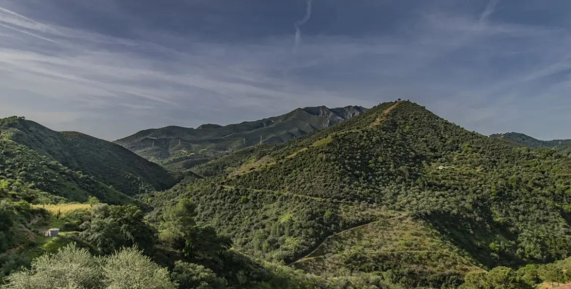 Продажа  отдельно стоящей виллы в Monda 35