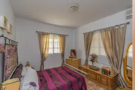 Image 4 thumb