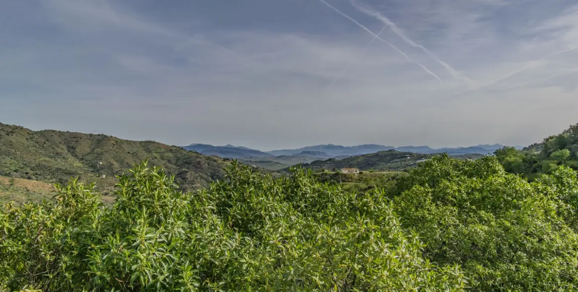 Sale of detached villa in Monda 27