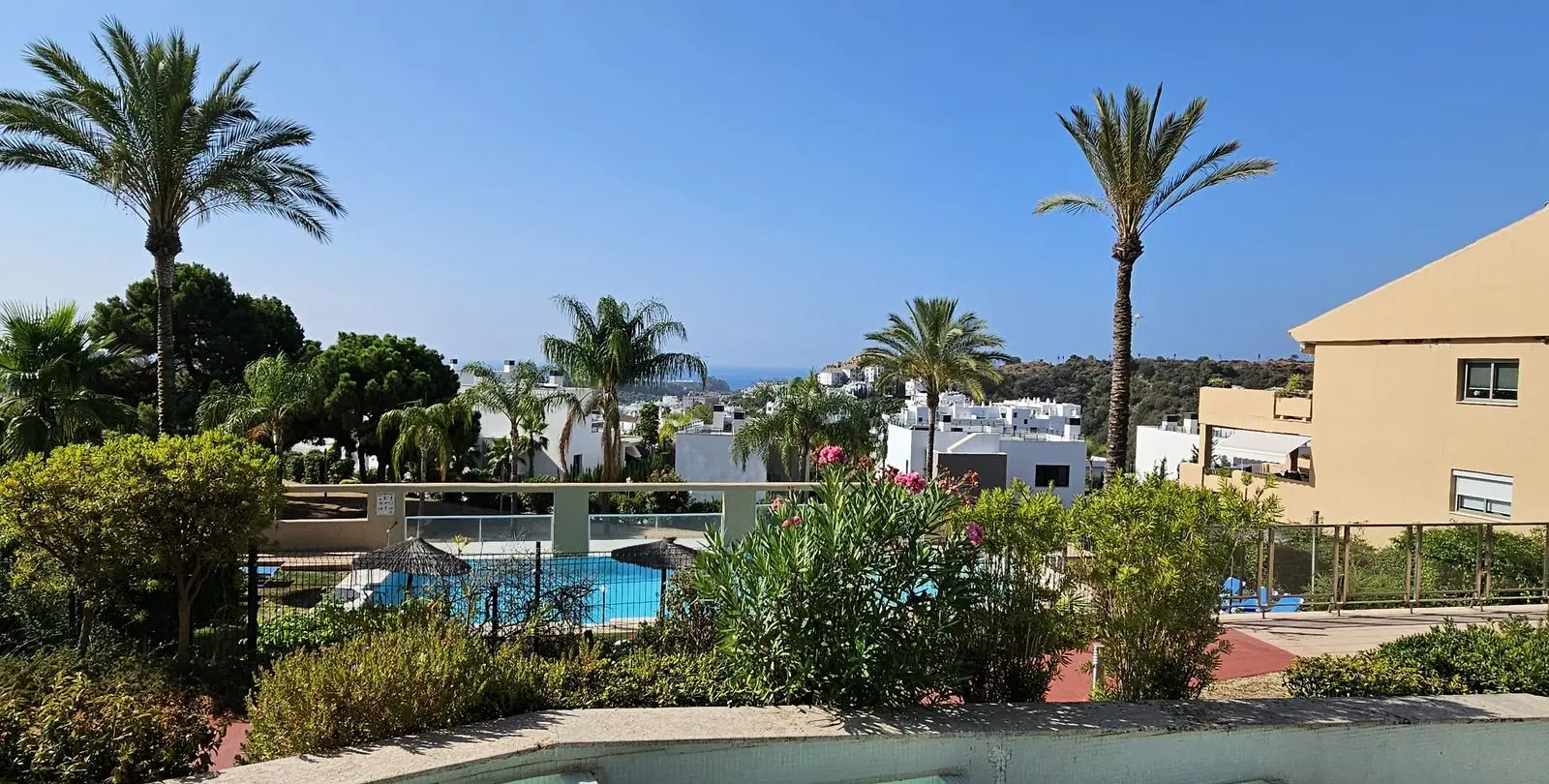Sale of penthouse in Selwo 24