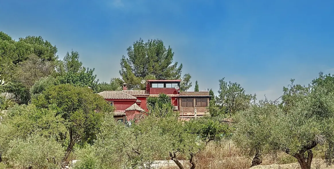 Sale of finca - cortijo in Monda 3