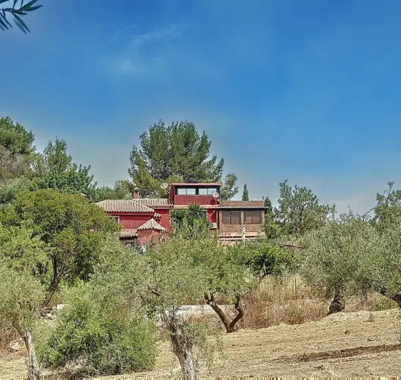 Sale of finca - cortijo in Monda