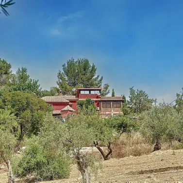 Venta de finca - cortijo en Monda