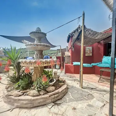 Venta de finca - cortijo en Monda