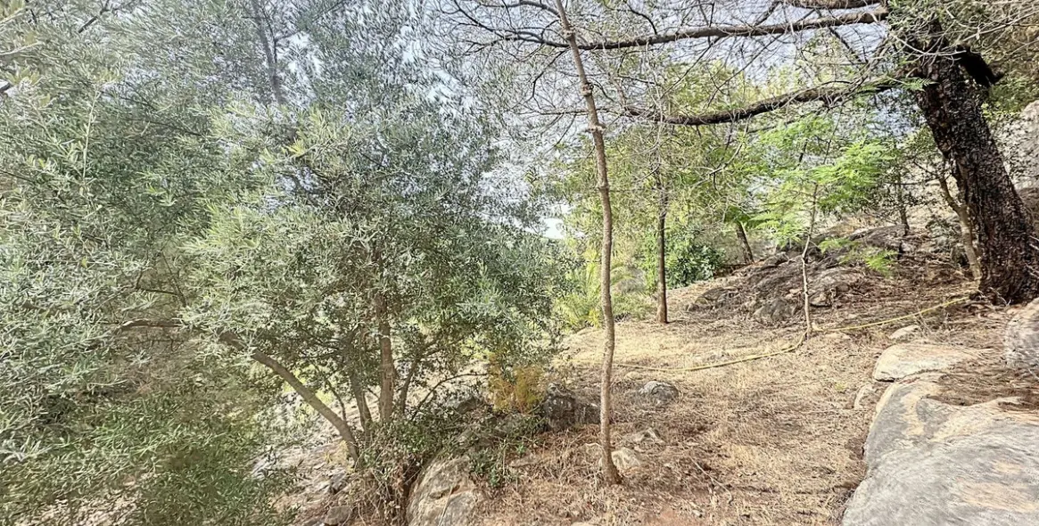 Sale of finca - cortijo in Monda 37