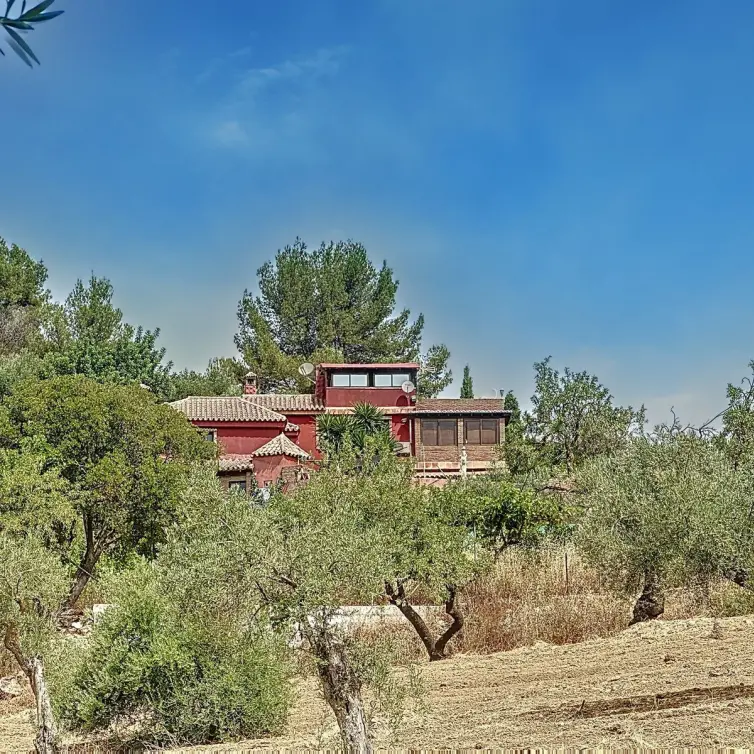 Sale of finca - cortijo in Monda