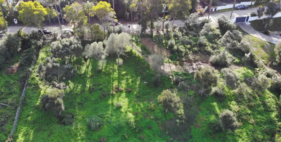 Venta de parcela residencial en Sotogrande 3