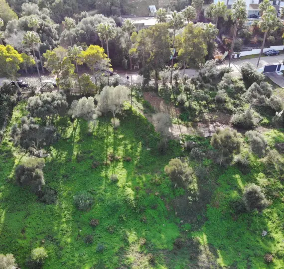 Venta de parcela residencial en Sotogrande