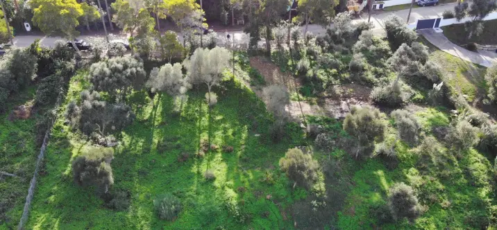 Venta de parcela residencial en Sotogrande 2