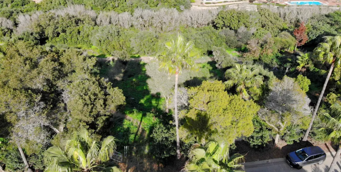 Venta de parcela residencial en Sotogrande 5