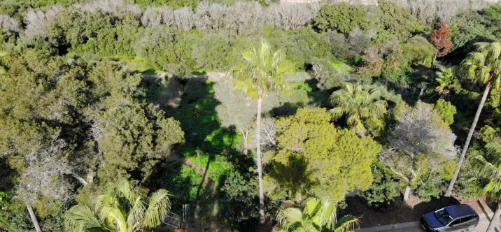 Venta de parcela residencial en Sotogrande 4